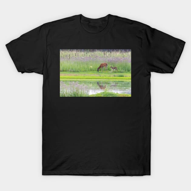 Peaceful Doe T-Shirt by gdb2